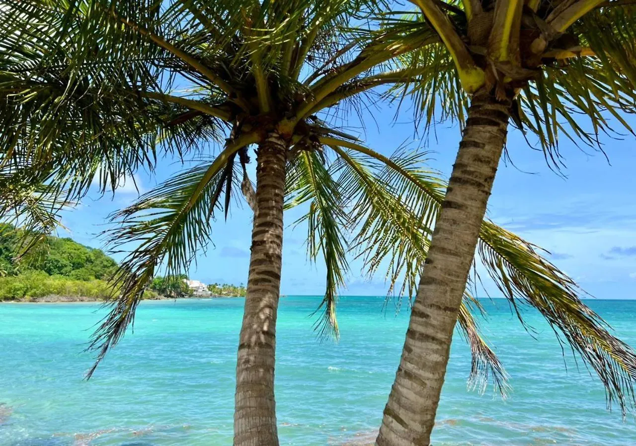 Apartmán Casabeau Piscine Citerne Vue Mer Le Gosier